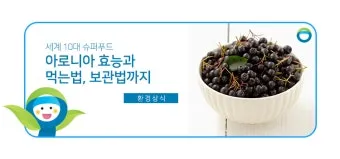 아로니아 먹는 가장 좋은 방법과 생 냉동 분말 활용 팁_20