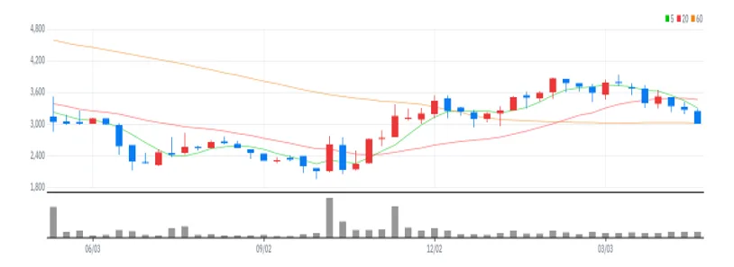 우신시스템 주봉
