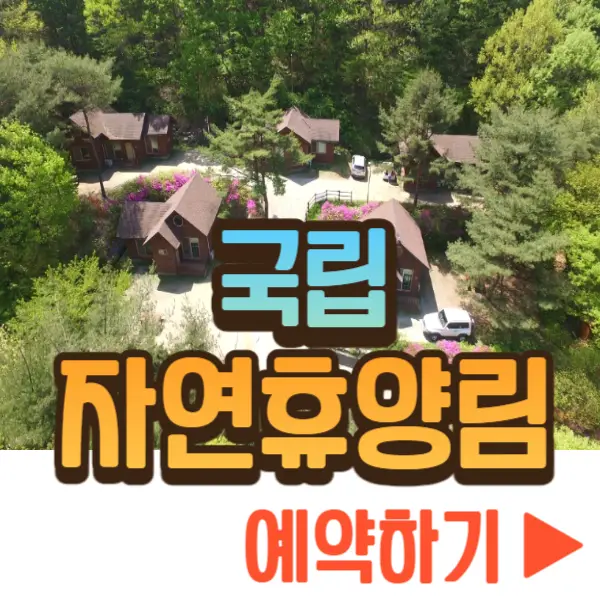 국립자연휴양림 예약
