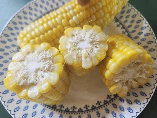 초당옥수수 전자레인지 찌는법 보관법 냉동 초당옥수수 먹는법