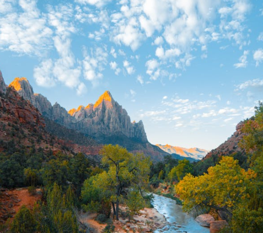 숲나들e 국립자연휴양림 숙소, 캠핑장 예약 방법, 주말, 장애인 추첨 일정 정보