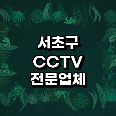 서울 서초구 cctv