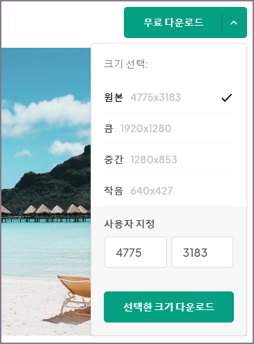 사진 크기 선택 다운로드 화면