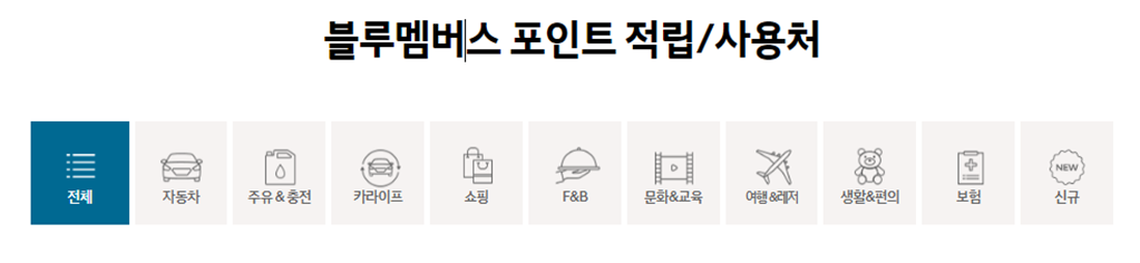 현대자동차 블루핸즈 멤버스, 현대자동차 블루멤버스, 현대자동차 블루멤버스 포인트 사용방법, 블루멤버스 포인트, 블루멤버스 포인트 적립, 현대자동차 블루멤버스 혜택