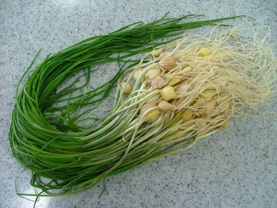 4월 제철 음식 추천