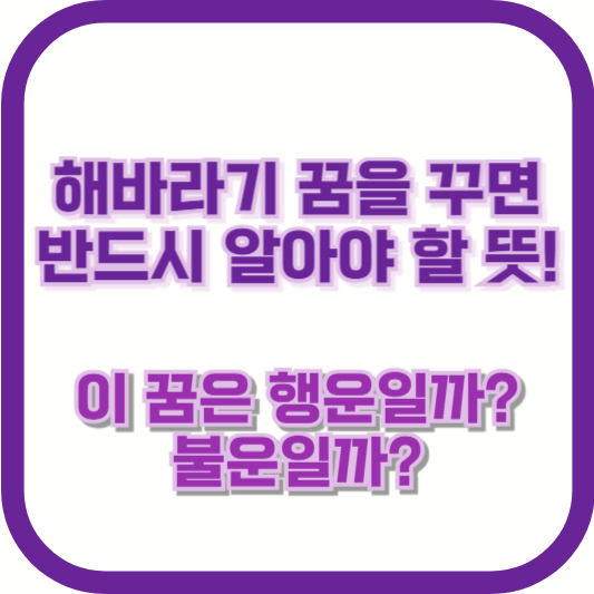 해바라기 꿈을 꾸면 반드시 알아야 할 뜻! 이 꿈은 행운일까 불운일까?