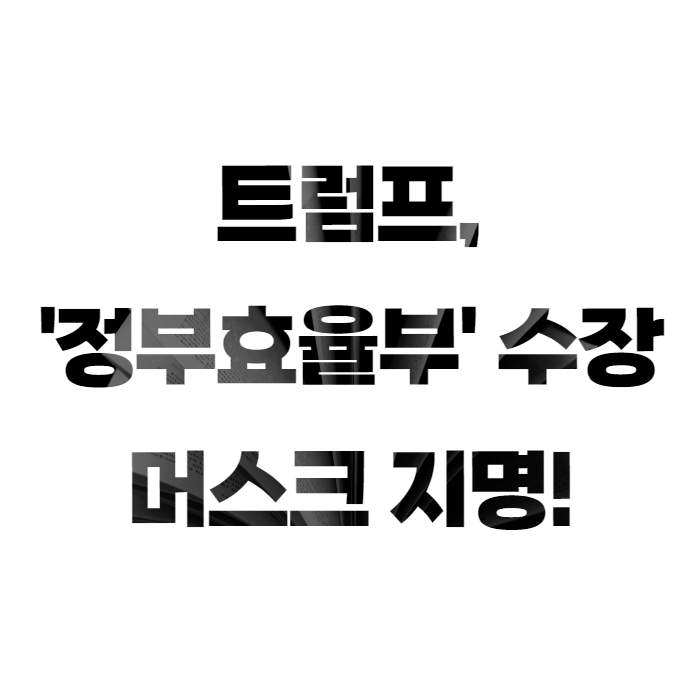 트럼프, '정부효율부' 수장으로 머스크와 라마스와미 지명!