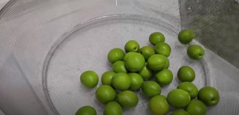 매실청 담그는법