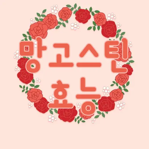 망고스틴 효능