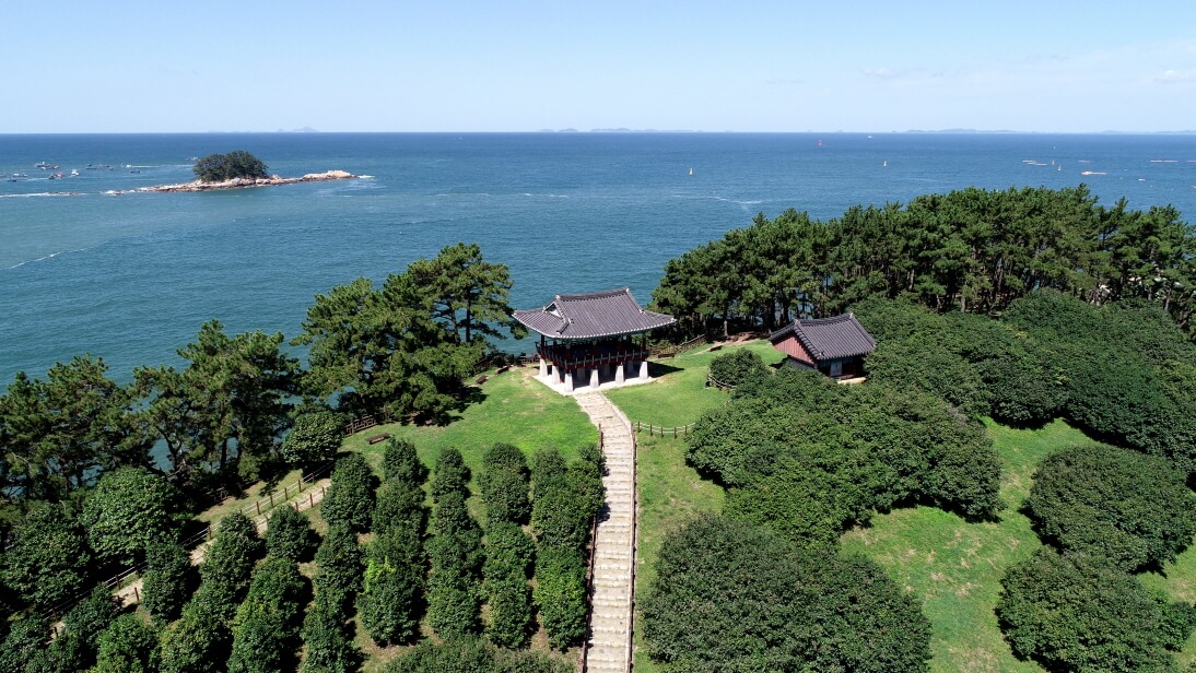 서천 마량리 동백나무숲 동백꽃구경