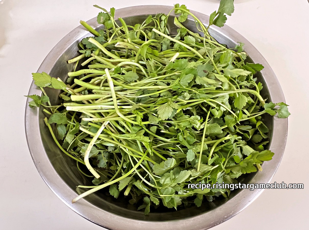 채취해온 미나리 사진