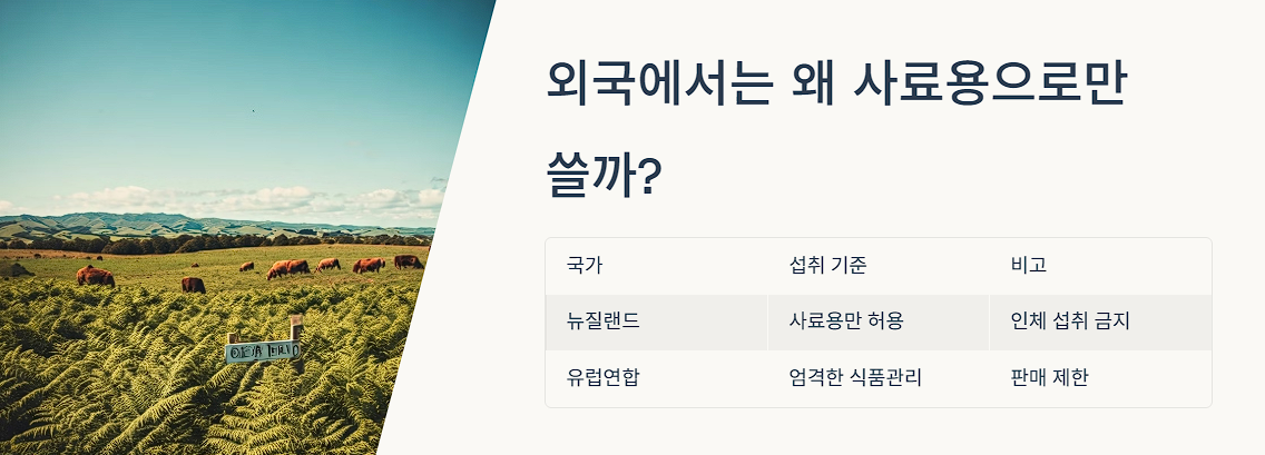 외국에서는 왜 사료용으로만 쓸까?