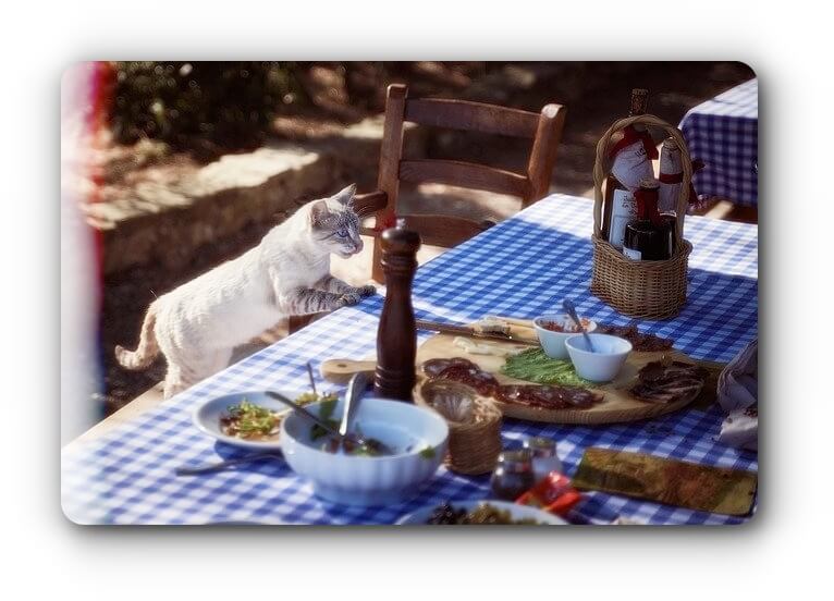 출출해-이미지-섬네일