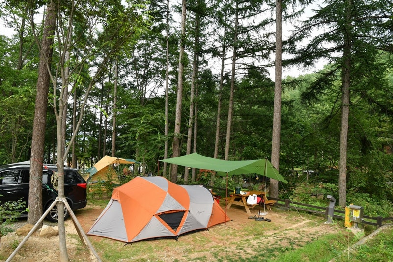 강원도 국립 화천숲속야영장 소개