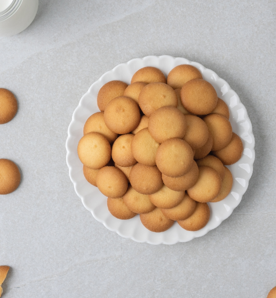 생방송투데이 제주 달걀 공장