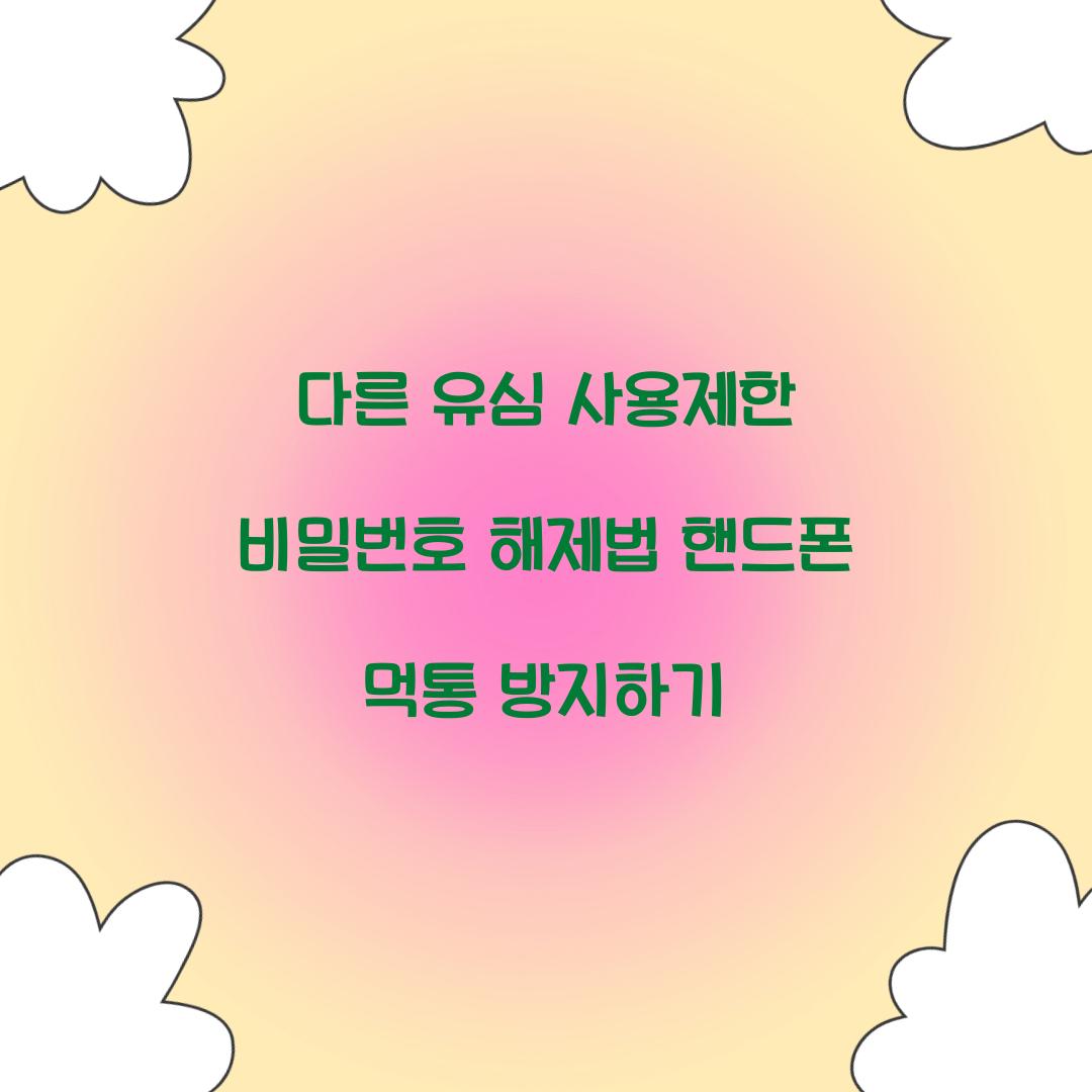 다른 유심 사용제한 비밀번호