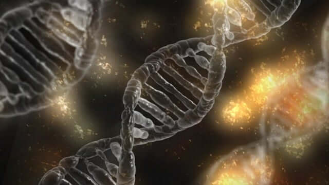 Transposon-Associated CRISPR Systems