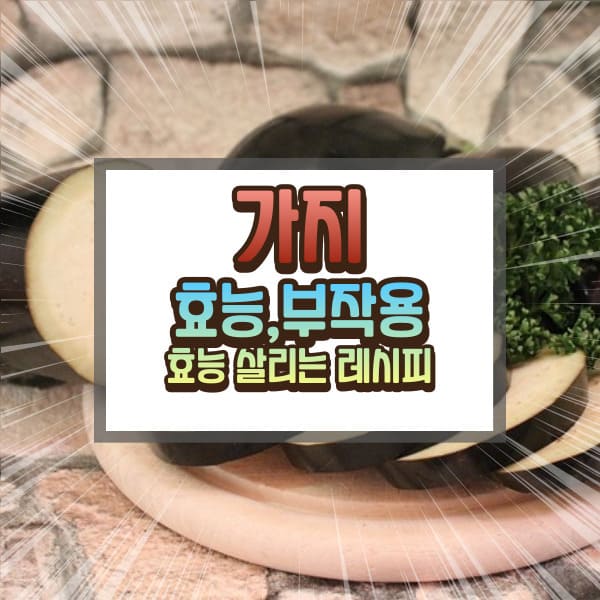 가지 효능 부작용에 대하여