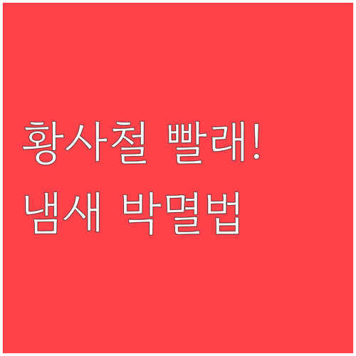 황사철 빨래 냄새 없애는 실내 건조 ..