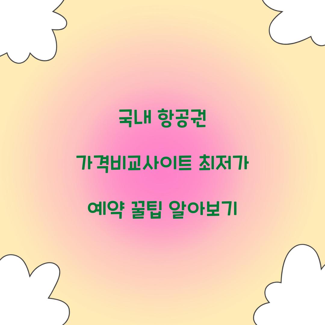 국내 항공권 가격비교사이트