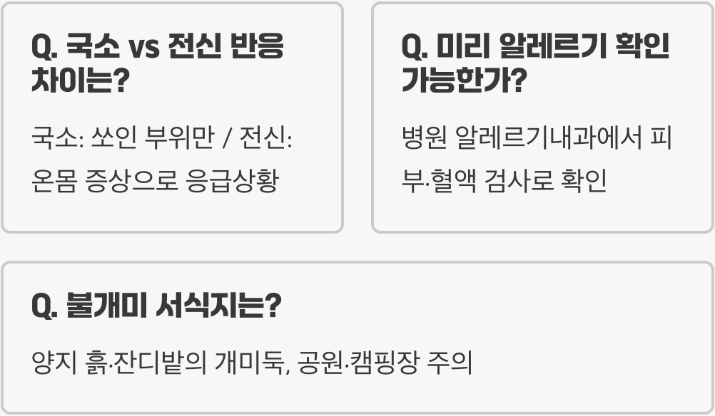 불개미 알레르기, 물린 후 아나필락시스 쇼크로 이어지는 위험 신호