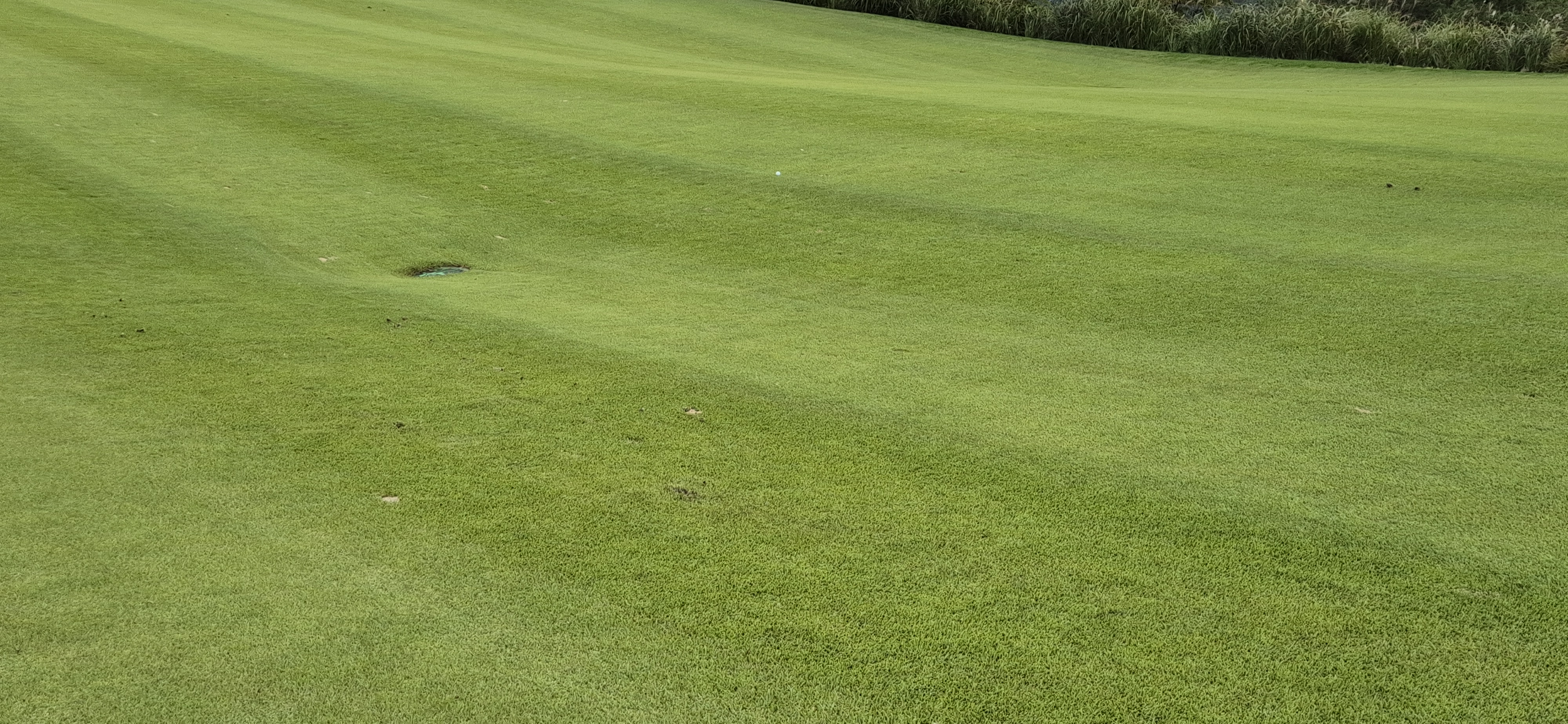 소노팰리체cc이스트