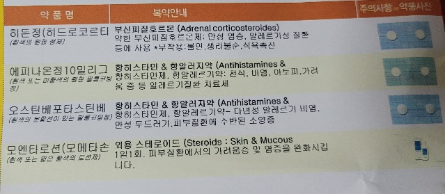 장미색 비강진 치료약
