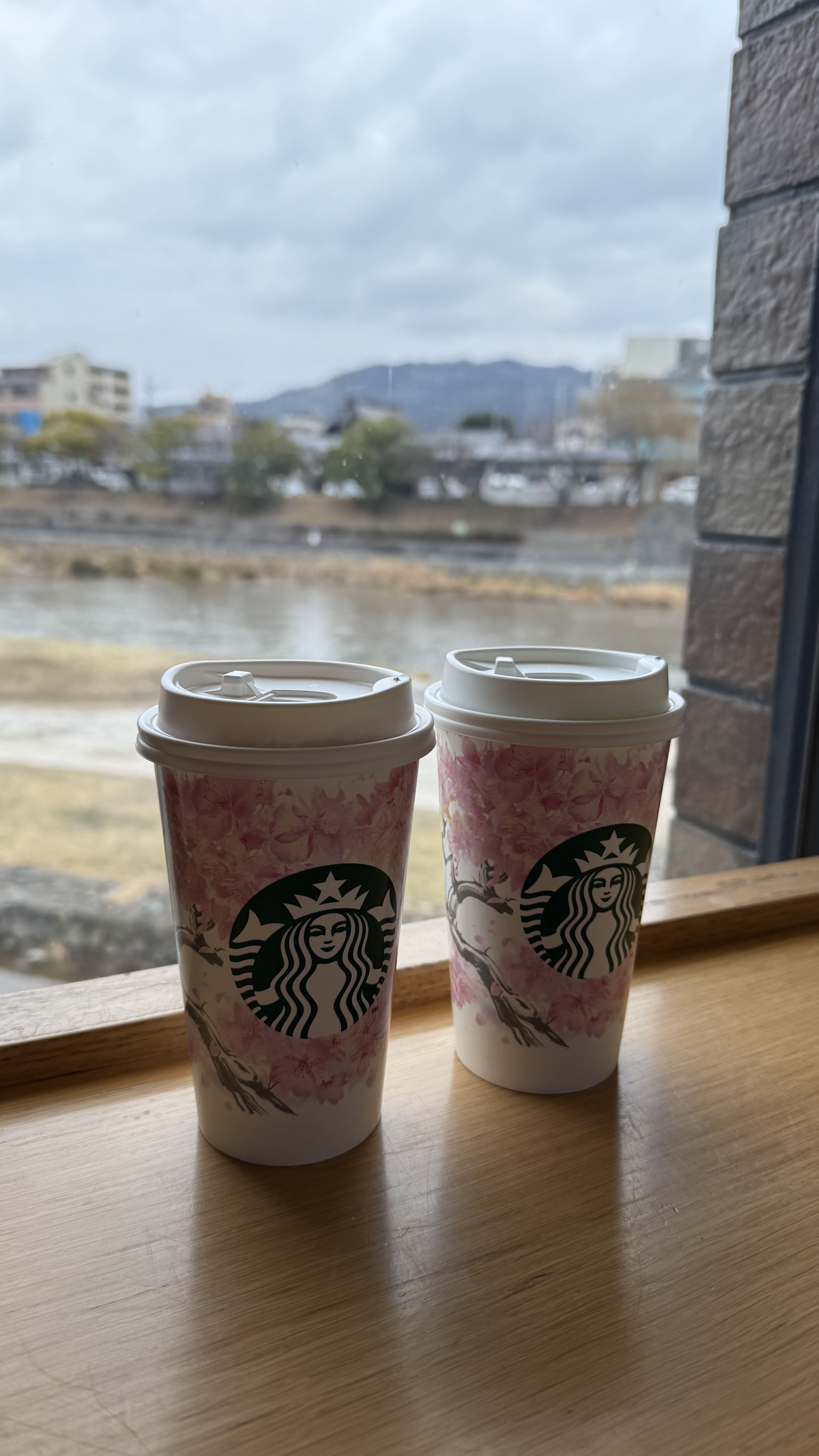 교토 봄여행 일본 스타벅스