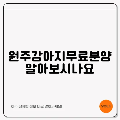 원주강아지무료분양 알아보시나요