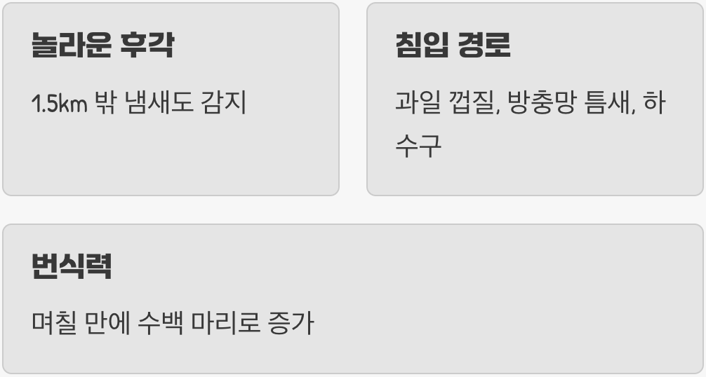 먼저 적을 알자, 초파리는 어떻게 우리 집으로 올까?