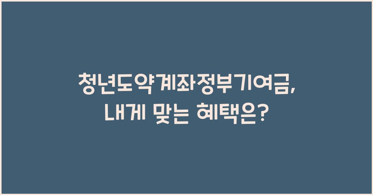 청년도약계좌정부기여금