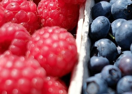 염증에 좋은 음식