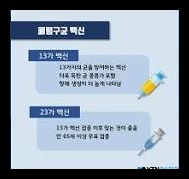 폐렴 예방접종 가격 시기