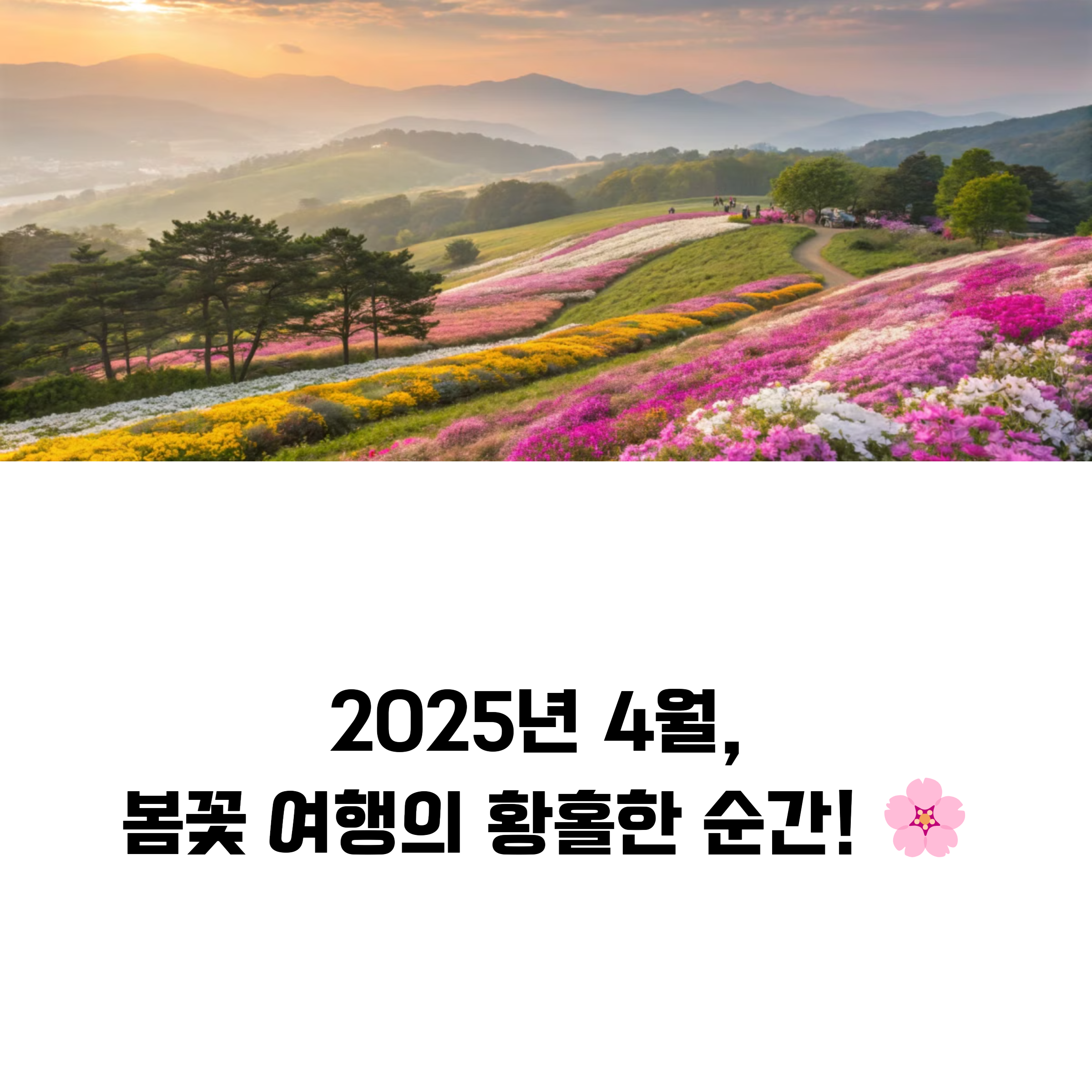 2025년 4월 봄꽃 여행지 추천! 지금 가면 딱 좋은 곳