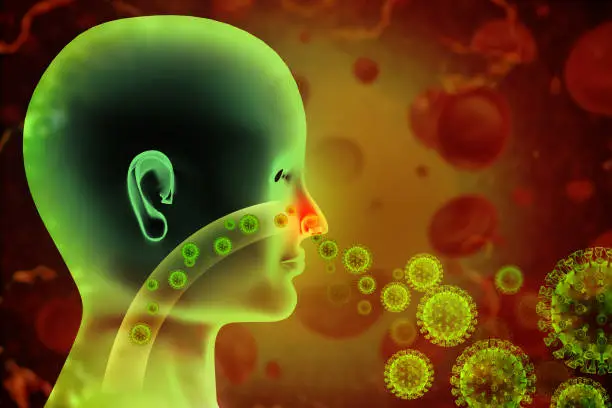 알레르기 비염 약국약, 원인, 증상