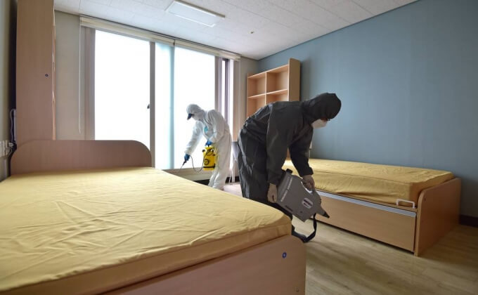 빈대-전문업체-벙역-중요성