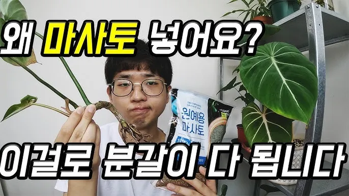 마사토 배합 비율 배수력개선 분갈이기본 시니어도 쉽게_1