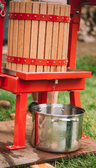 애플 사이다 만드는 모습