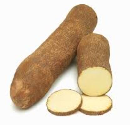 췌장에 좋은 음식