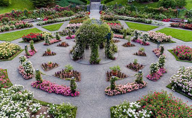 고양 국제꽃 박람회