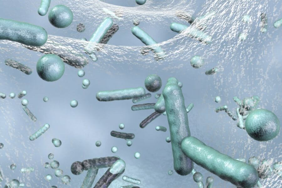 세균막(바이오필름)이라는 단어를 알게 된 이후 달라진 위생 기준의 시작