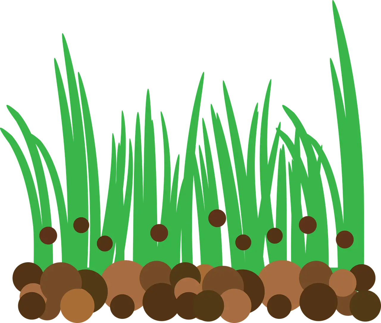 고추 웃거름주는 시기