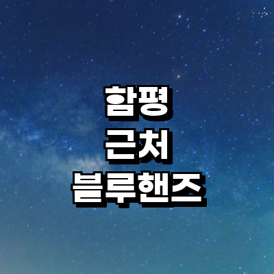 함평군 블루핸즈