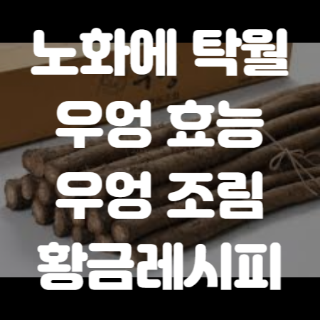 우엉 효능