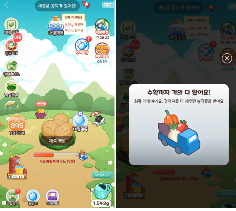 옾팜맞팜6