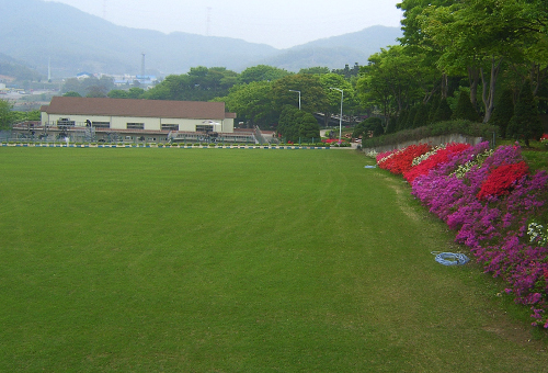 철쭉 명소 세종 가볼만한 곳