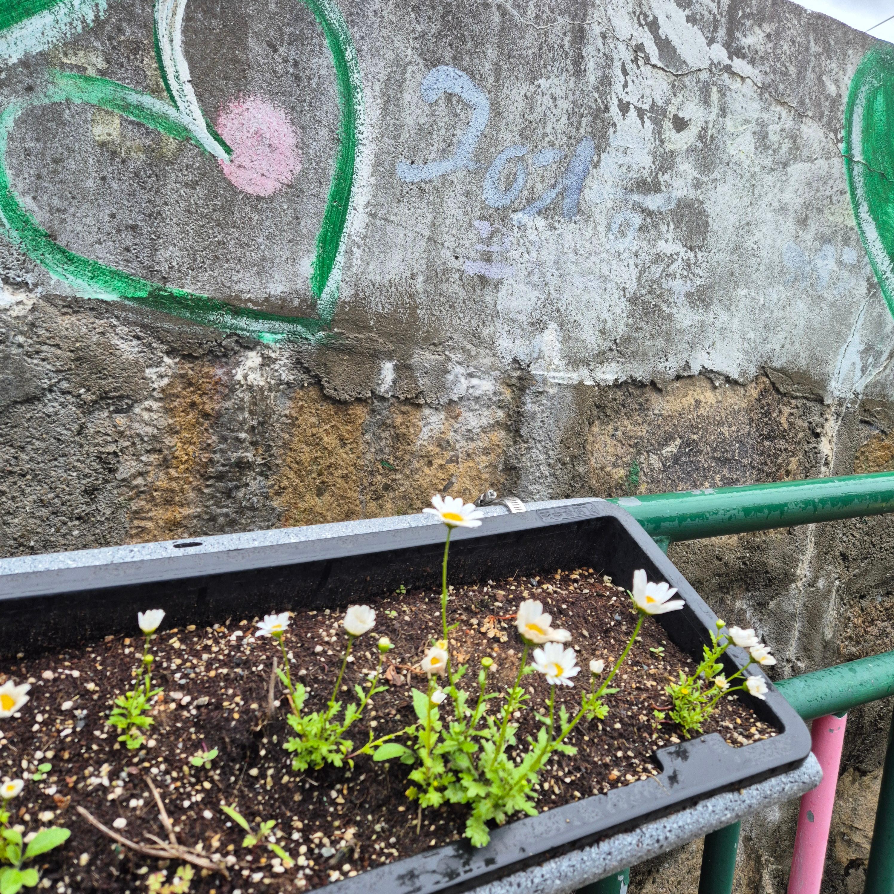 시화골목 벽화마을, 연희네슈퍼, 목포 가볼만한곳, 시화골목벽화마을,연희네슈퍼,목포가볼만한곳,1987촬영지,밥통쫀드기,도도솔솔라라솔촬영지,목포여행코스,목포골목여행,전라도핫플,목포무료주차