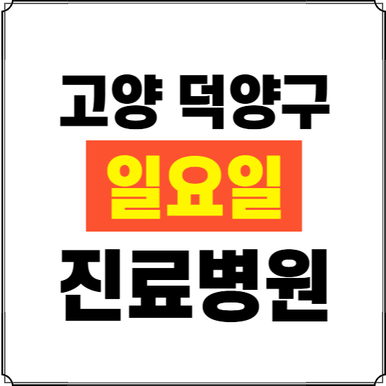 고양시 덕양구 일요일 진료병원 찾기 ❘ 24시 휴일 주말 응급 야간 심야 문여는 병원