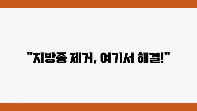인천 지방종제거수술 전문병원 추천 베스트 5~!!