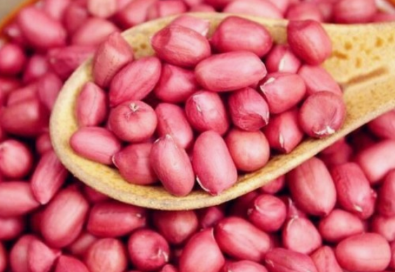 비타민 B 의 종류(분류)와 종류별 효능(역할) 및 결핍시 증상과 과잉 섭취의 부작용 